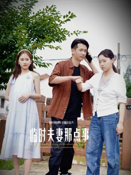 临时夫妻那点事封面