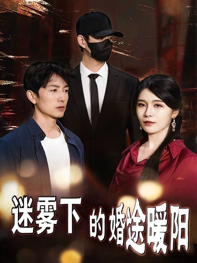 迷雾下的婚途暖阳封面