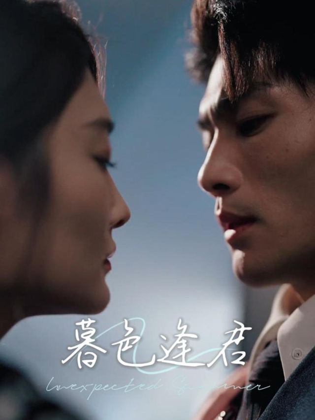 暮色逢君封面
