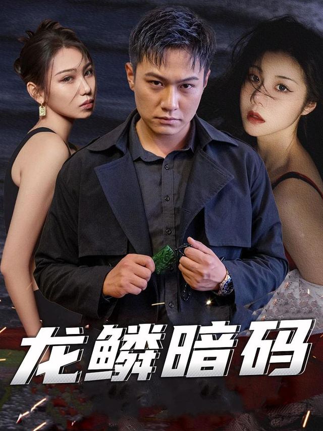 龙鳞暗码封面