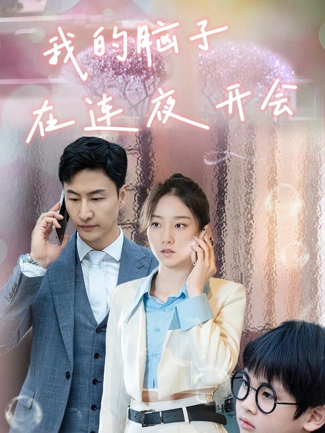 我的脑子在连夜开会封面