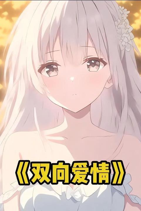 双向爱情封面