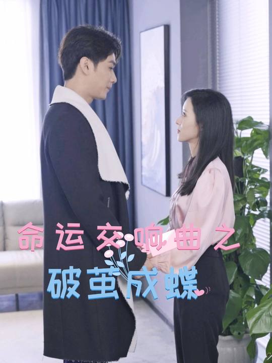 命运交响曲之破茧成蝶封面