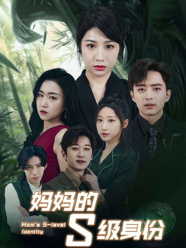 妈妈的S级身份封面
