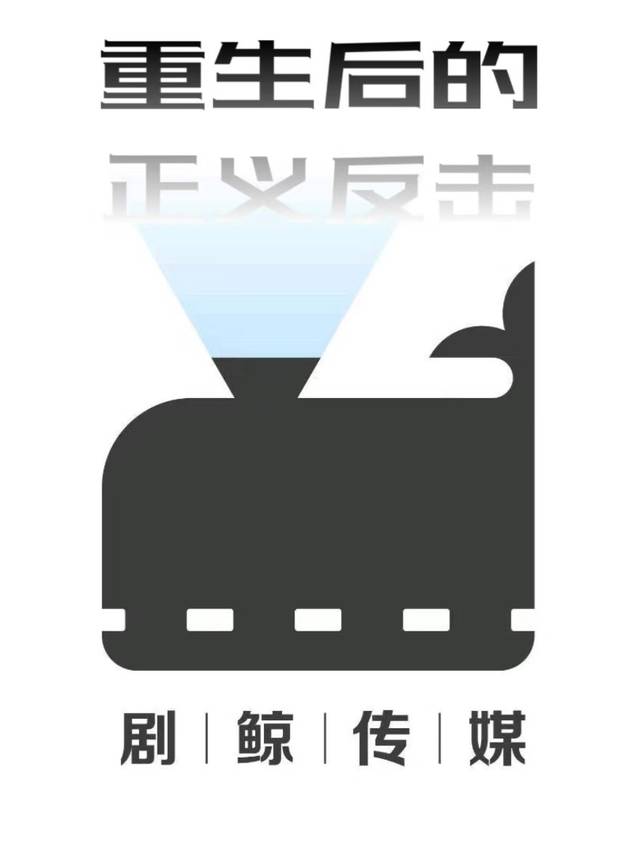 重生后的正义反击封面