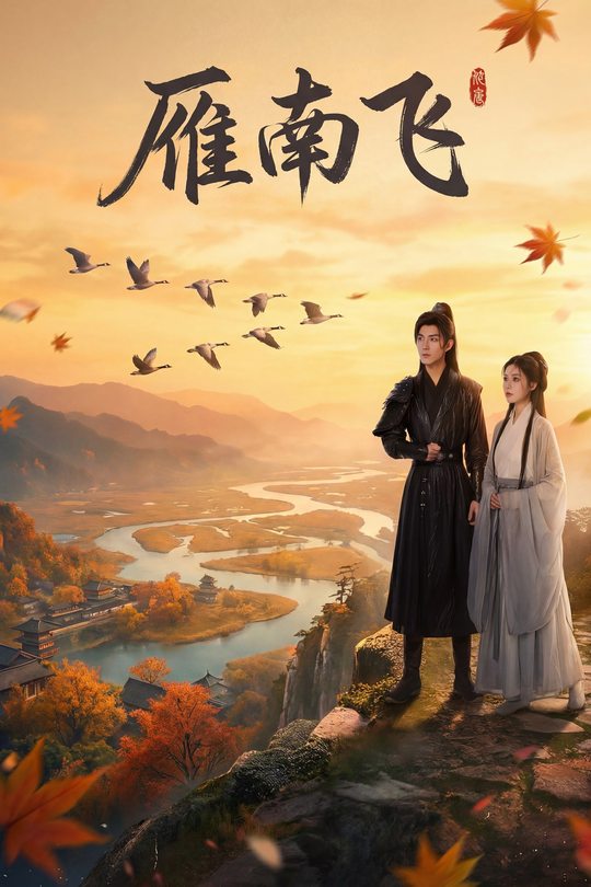 雁南飞封面