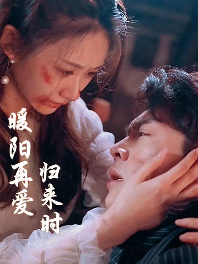 暖阳再爱归来时封面