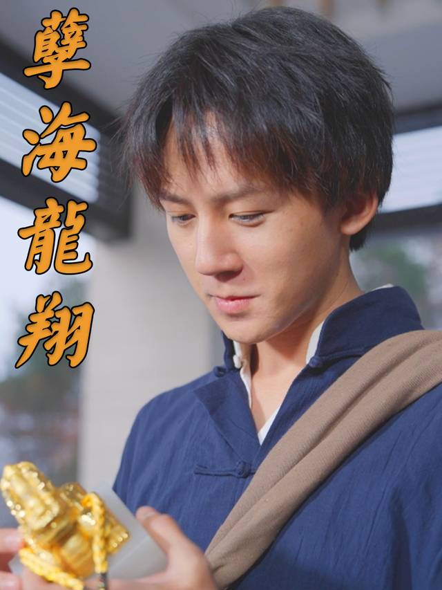 孽海龙翔封面
