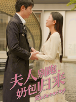 夫人别跑,奶包归来封面