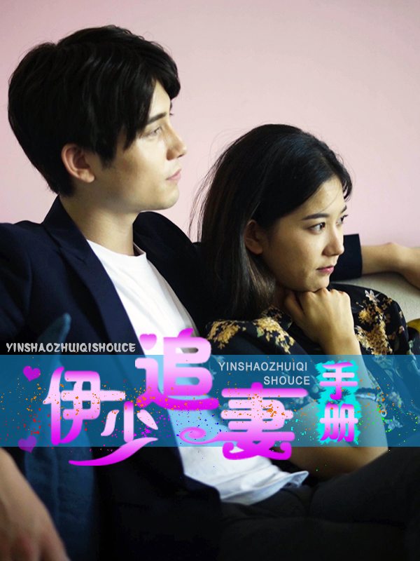 伊少追妻手册封面