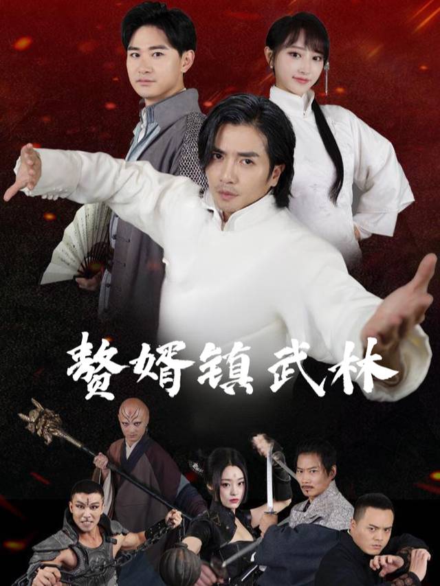 赘婿镇武林封面