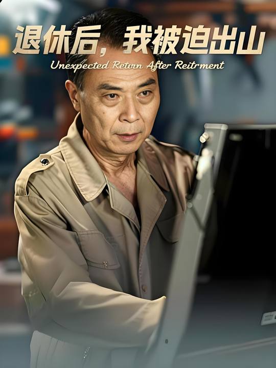 退休后,我被迫出山封面