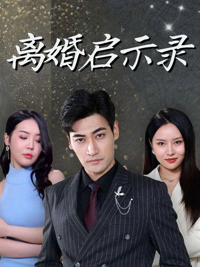 离婚启示录封面