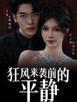 狂风来袭前的平静封面