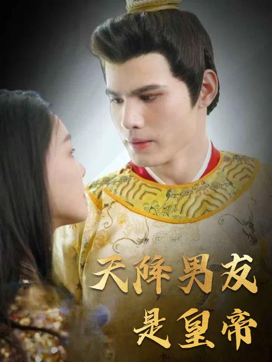 天降男友是皇帝封面