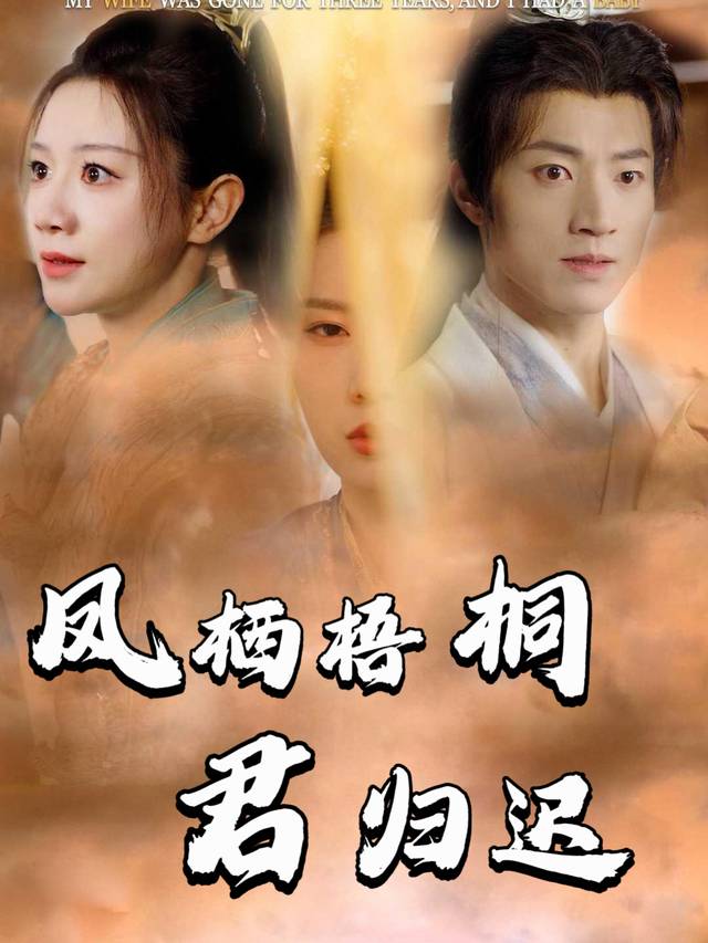 凤栖梧桐,君归迟封面