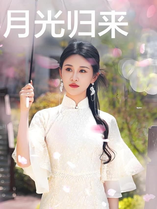 月光归来封面