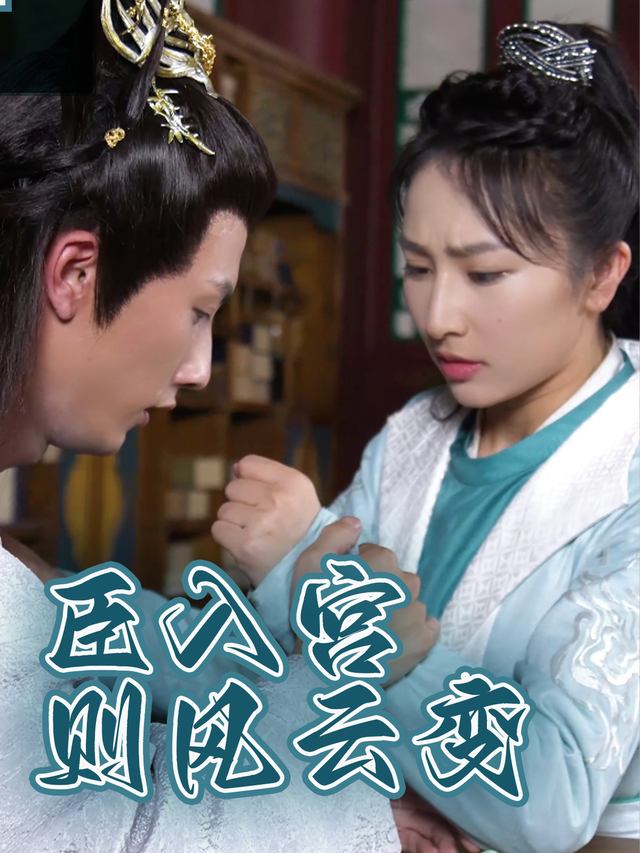 臣入宫则风云变封面