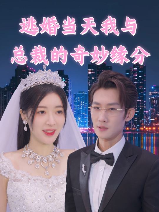 逃婚当天我与总裁的奇妙缘分封面