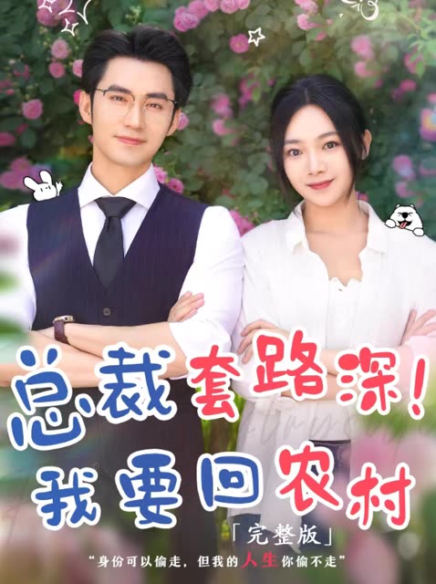 总裁套路深!我要回农村封面