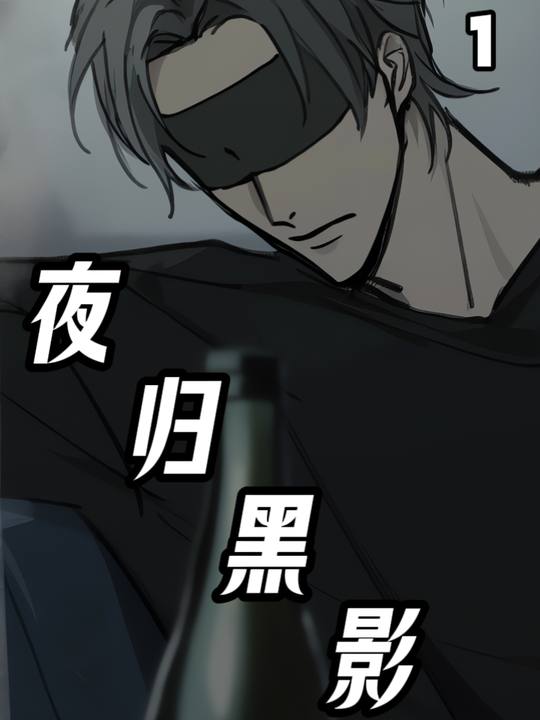 夜归黑影封面