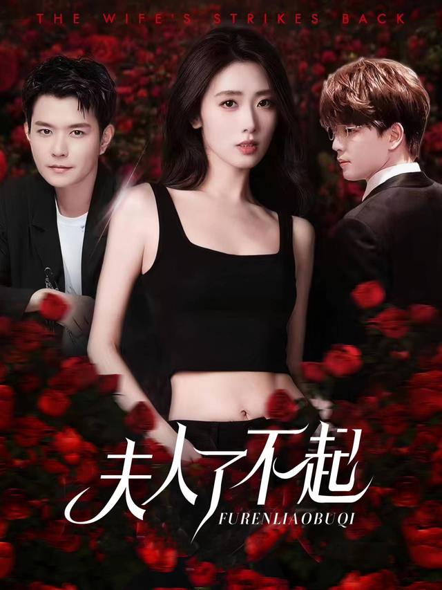 夫人了不起封面