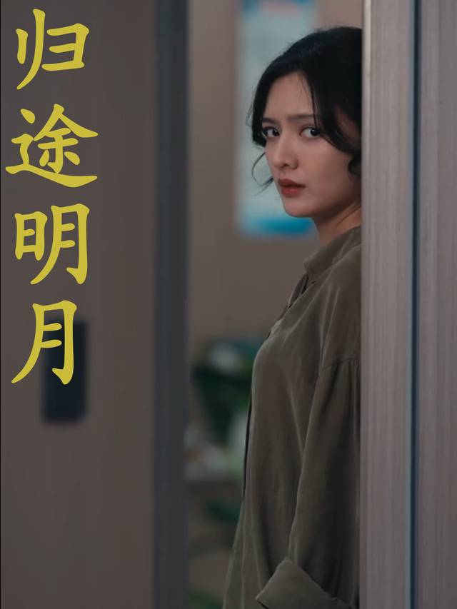 归途明月封面