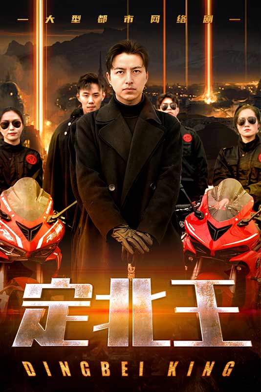 定北王封面