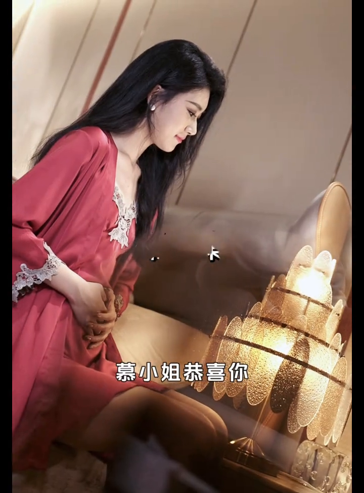 傅先生爱已落幕封面