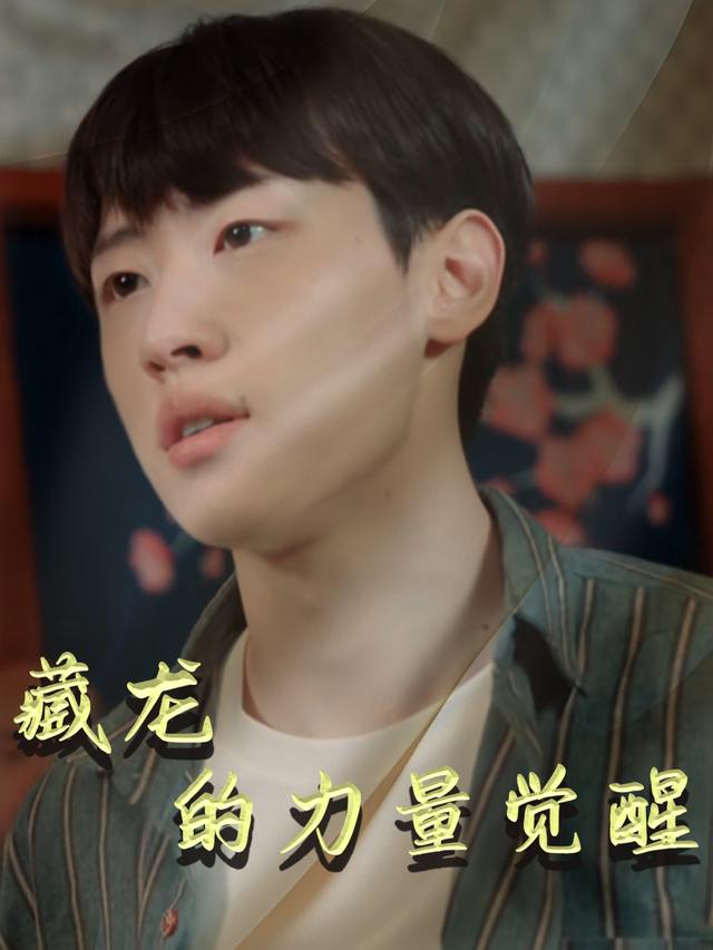 藏龙的力量觉醒封面