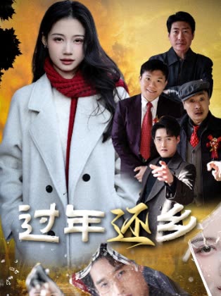 过年还乡封面