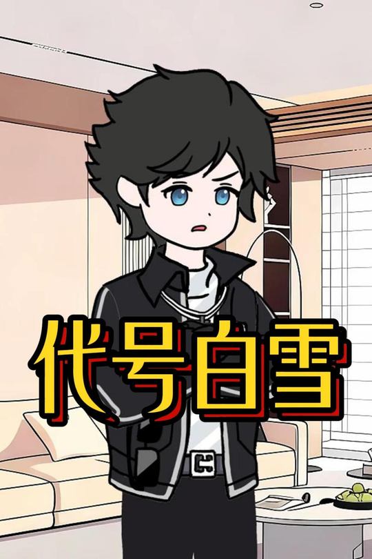 代号白雪封面