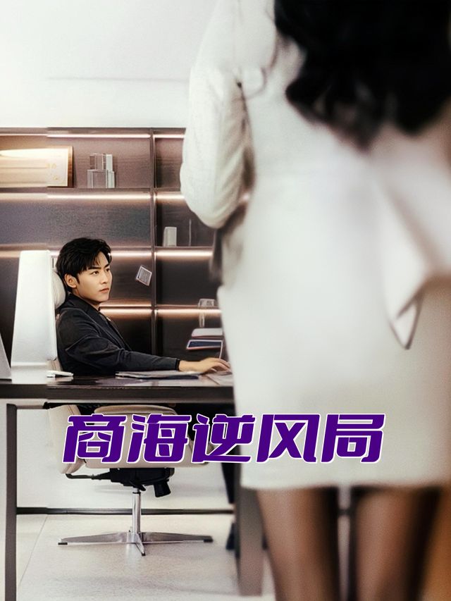 商海逆风局封面
