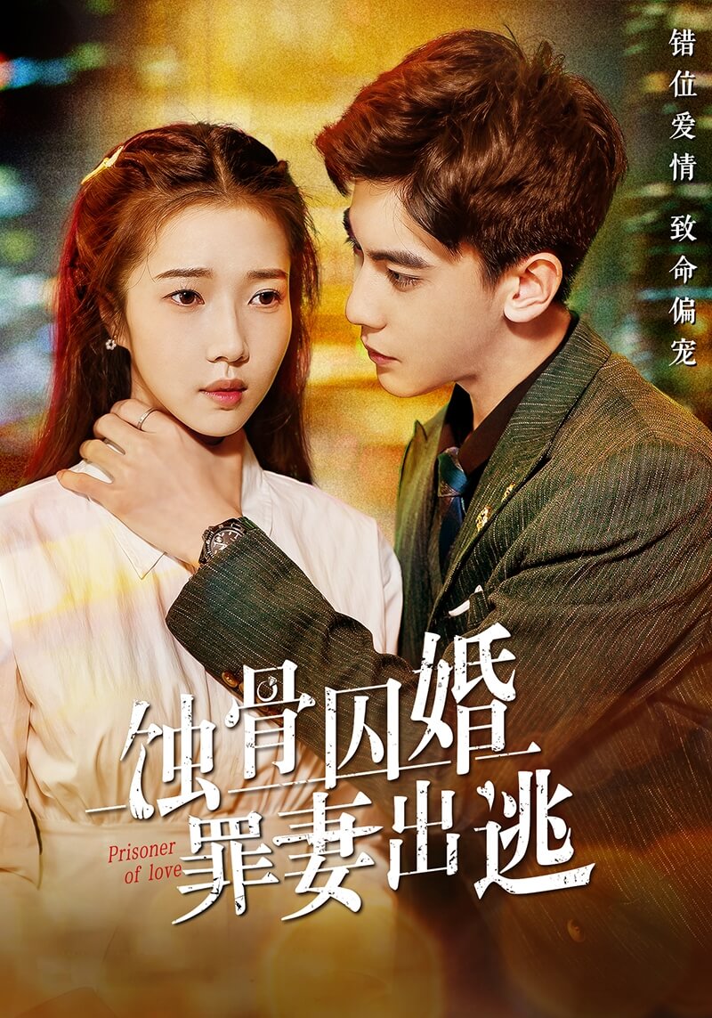 蚀骨囚婚,罪妻出逃封面