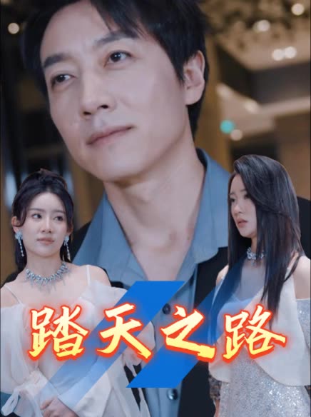 踏天之路封面