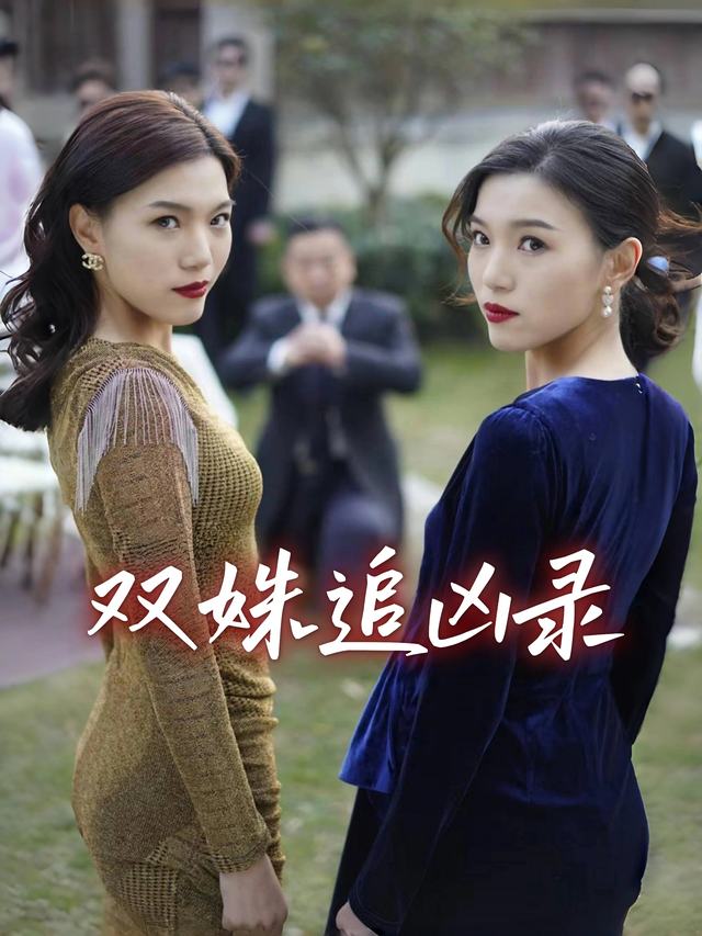 双姝追凶录封面