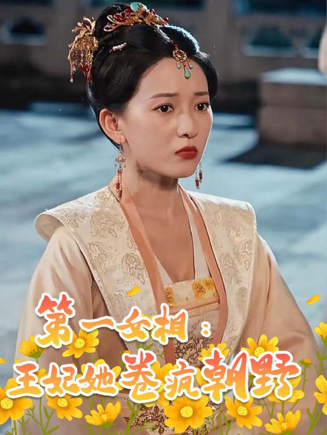 第一女相:王妃她卷疯朝野封面
