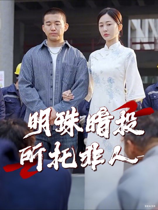 明珠暗投所托非人封面