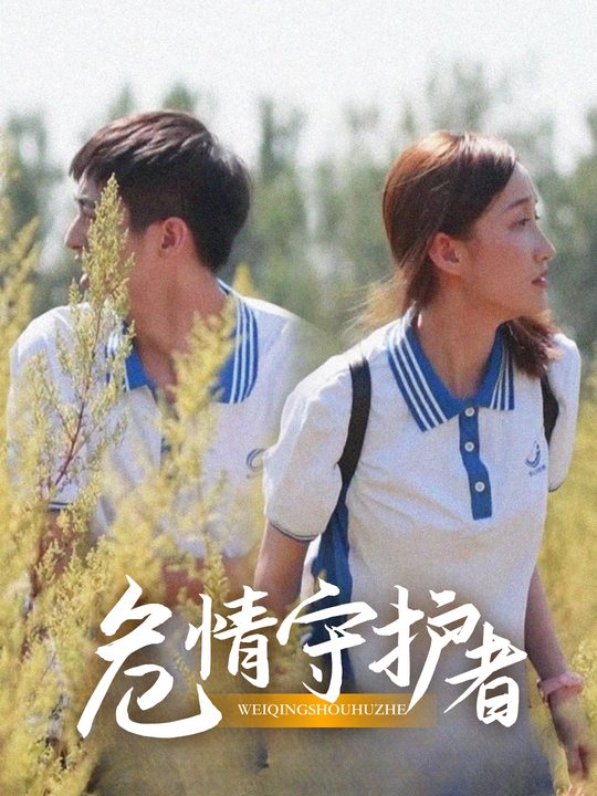 危情守护者封面