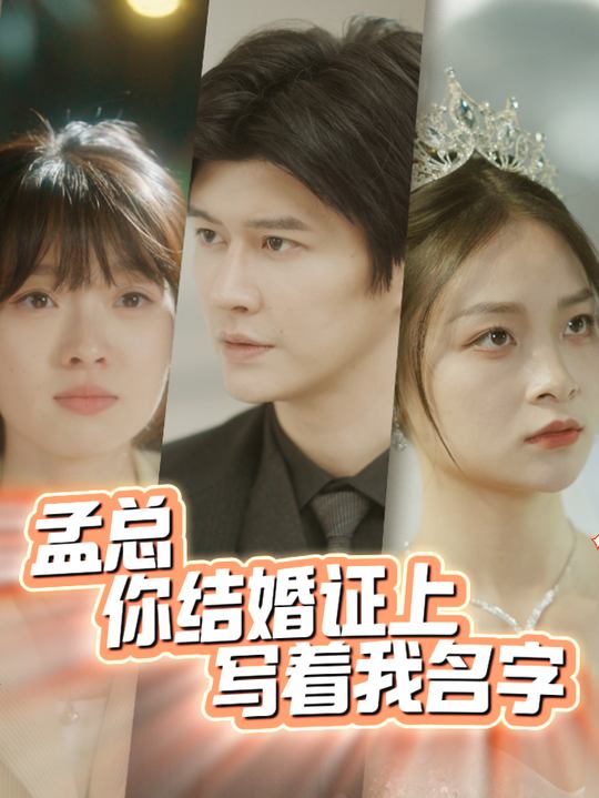 孟总你结婚证上写着我名字封面