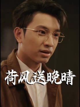 荷风送晚晴封面