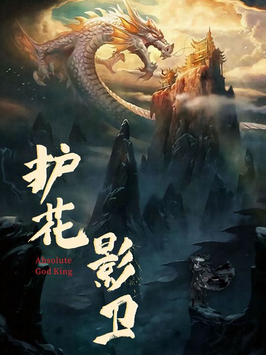 护花影卫封面