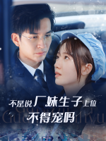 不是说厂妹生子上位不得宠吗封面