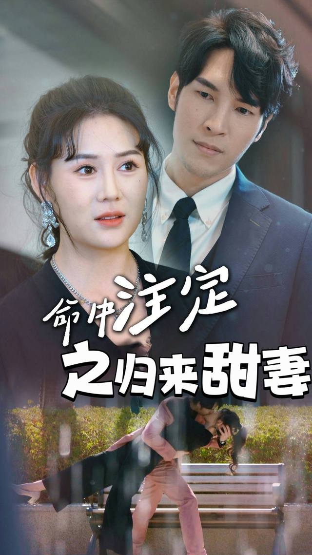 命中注定之归来甜妻封面