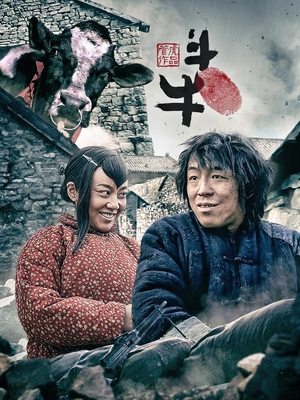 斗牛封面