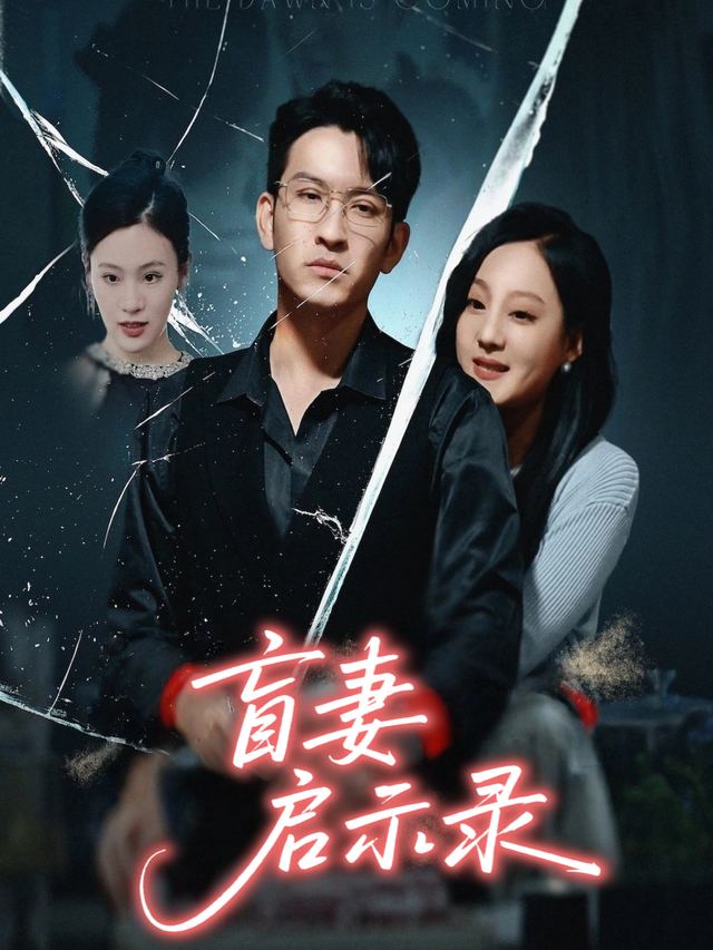盲妻启示录封面