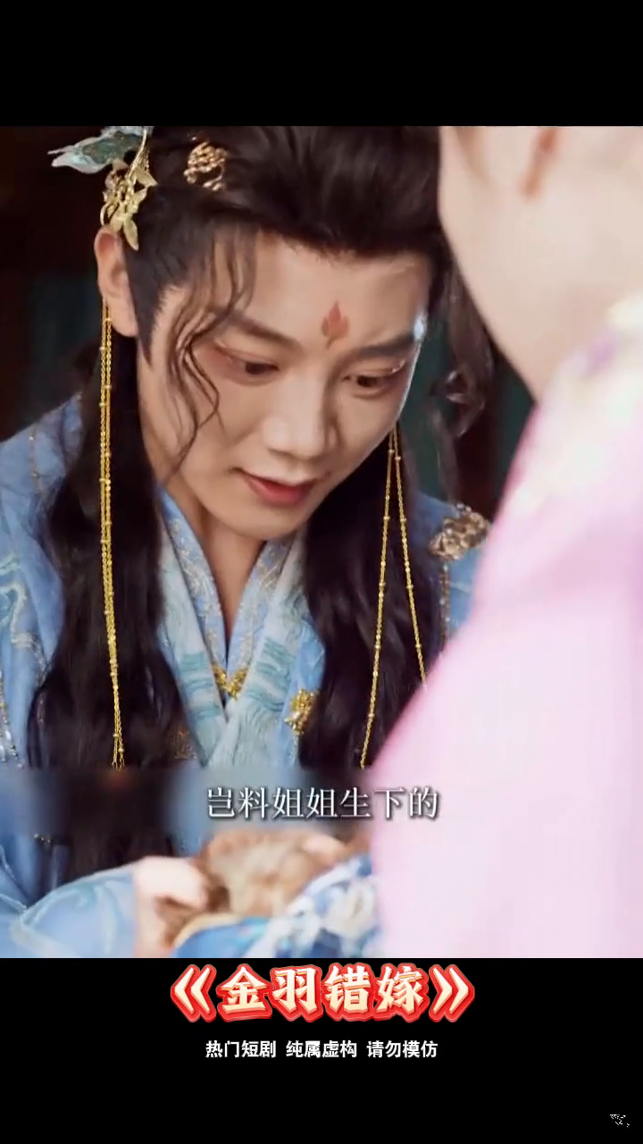 金羽错嫁封面