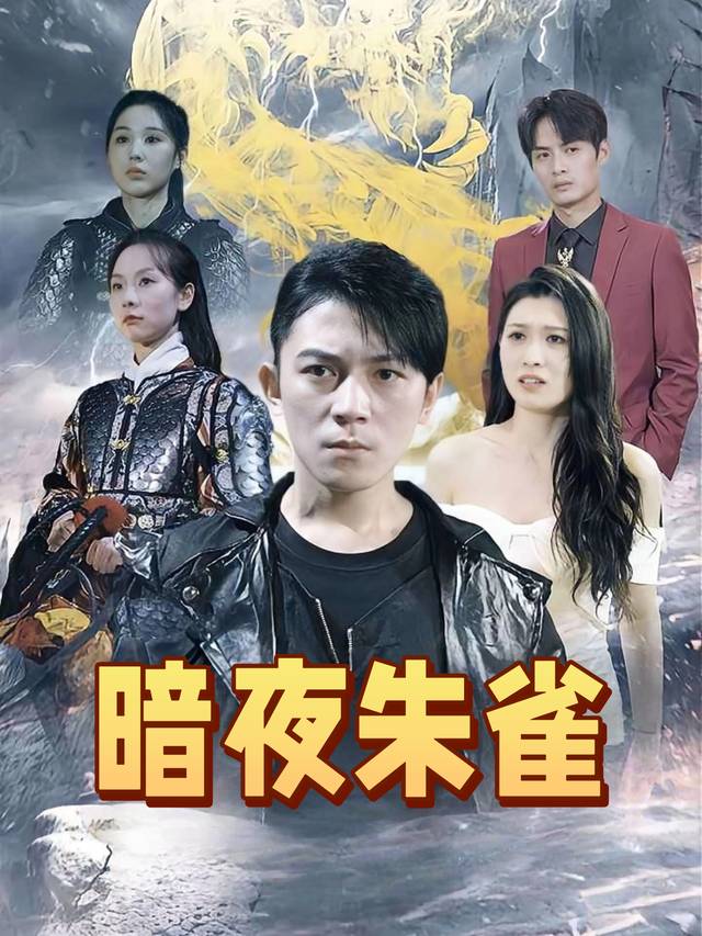 暗夜朱雀封面