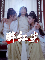 醉红尘封面