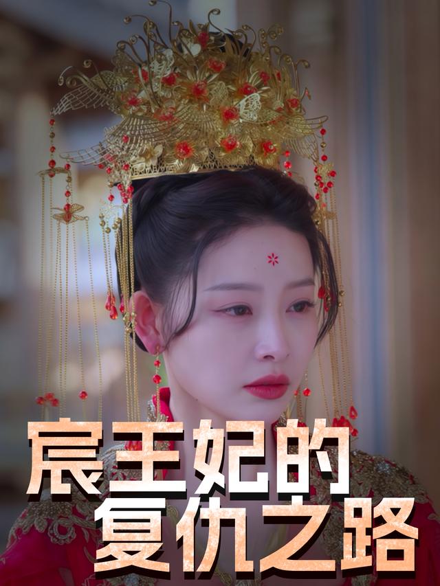 宸王妃的复仇之路封面